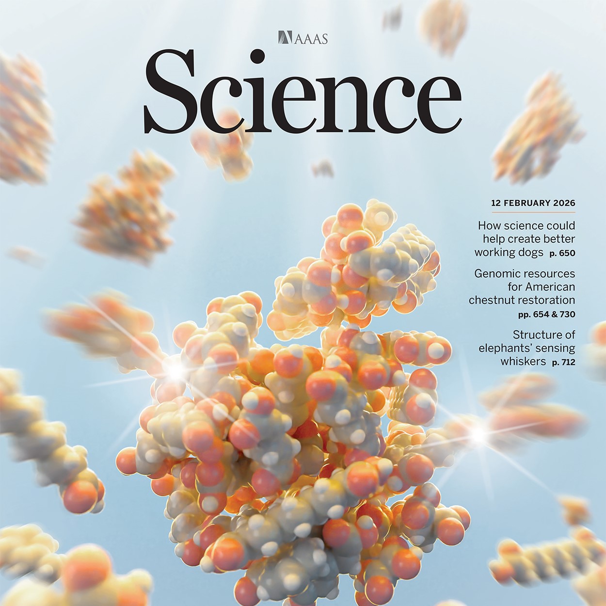 New! Science online access